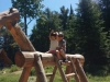 OmegaParkJune18-16 (12)