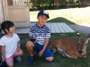 OmegaParkJune18-16 (4)