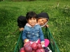 PineHillOrchards (1)