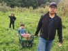 PineHillOrchards (3)