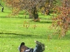 expfarmsatoct16-045