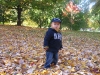 expfarmsatoct16-100