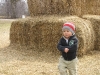 stanleysfarm-45