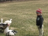 stanleysfarm-51