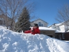 frontyardfeb102012-003