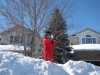frontyardfeb102012-005