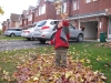 nov5-leafs-1