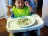 Dumpling lunch