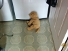 Timeout-4