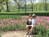 tulips2013-039